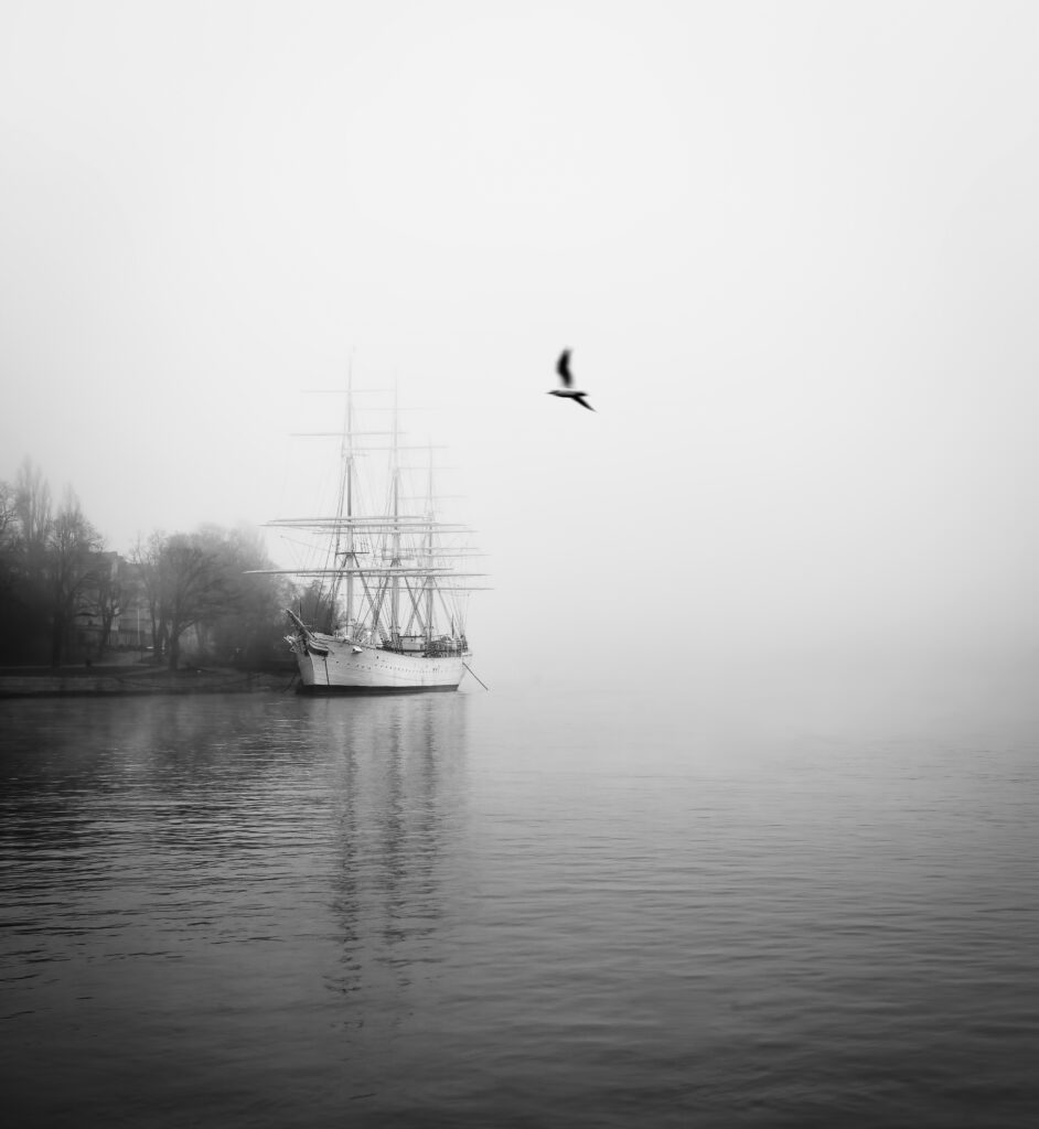 Black and white photograph of a sailing ship partially obscured by dense fog, with a bird flying above the calm water.